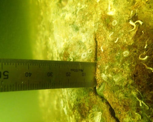 Contact Gilbert Diving, professional commercial divers for Pile Repairs and Bridge Inspections